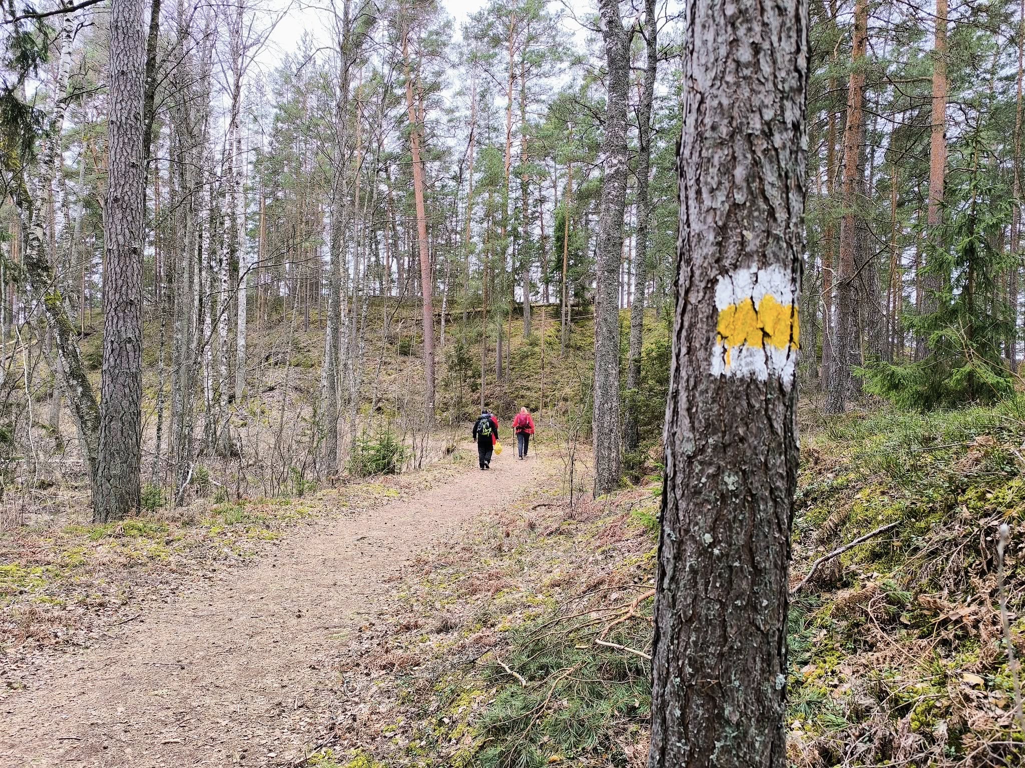 Mežtaka